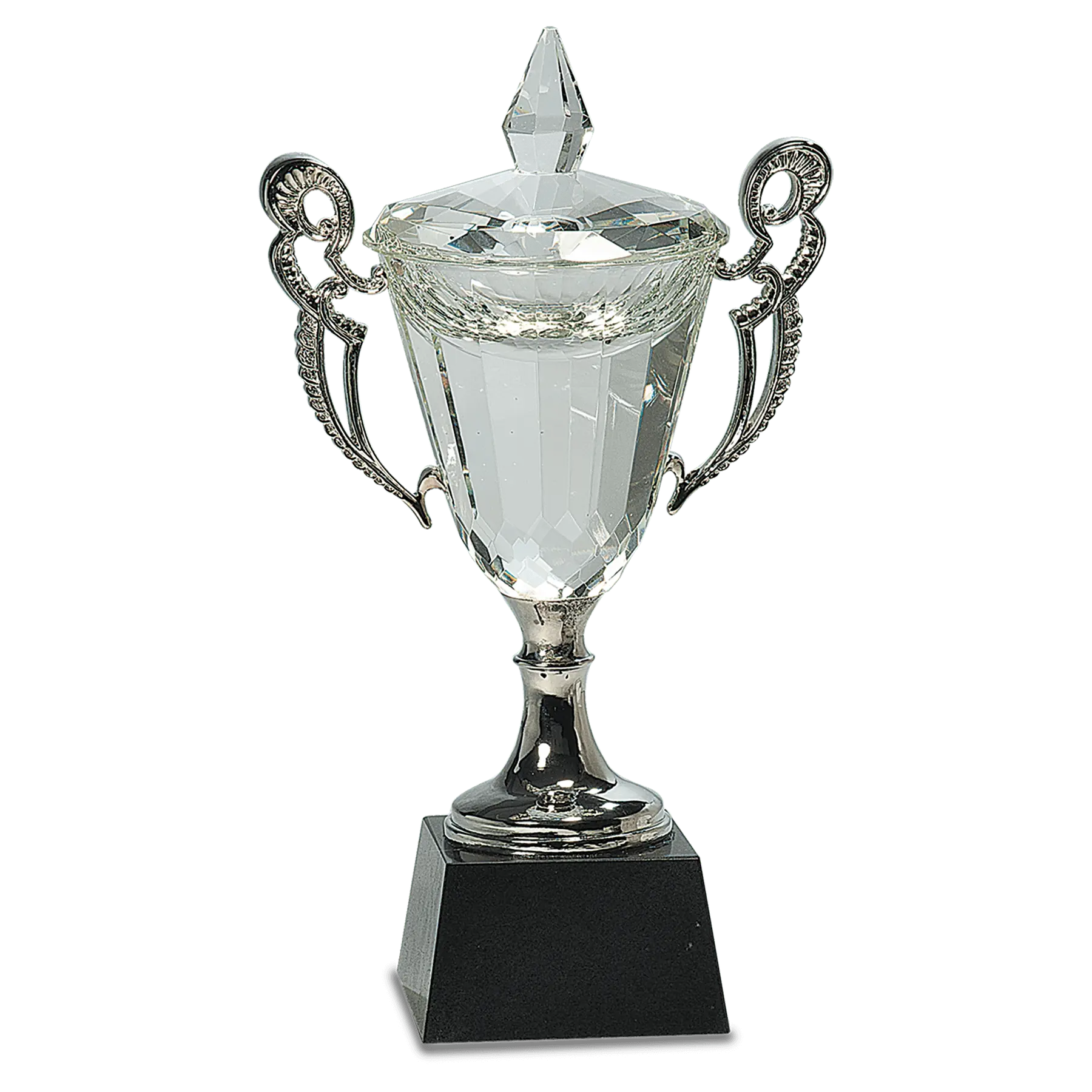 Premier Crystal Cup Award with Silver Handles and Stem, Includes Lined Gift Box, 11.75" JDS