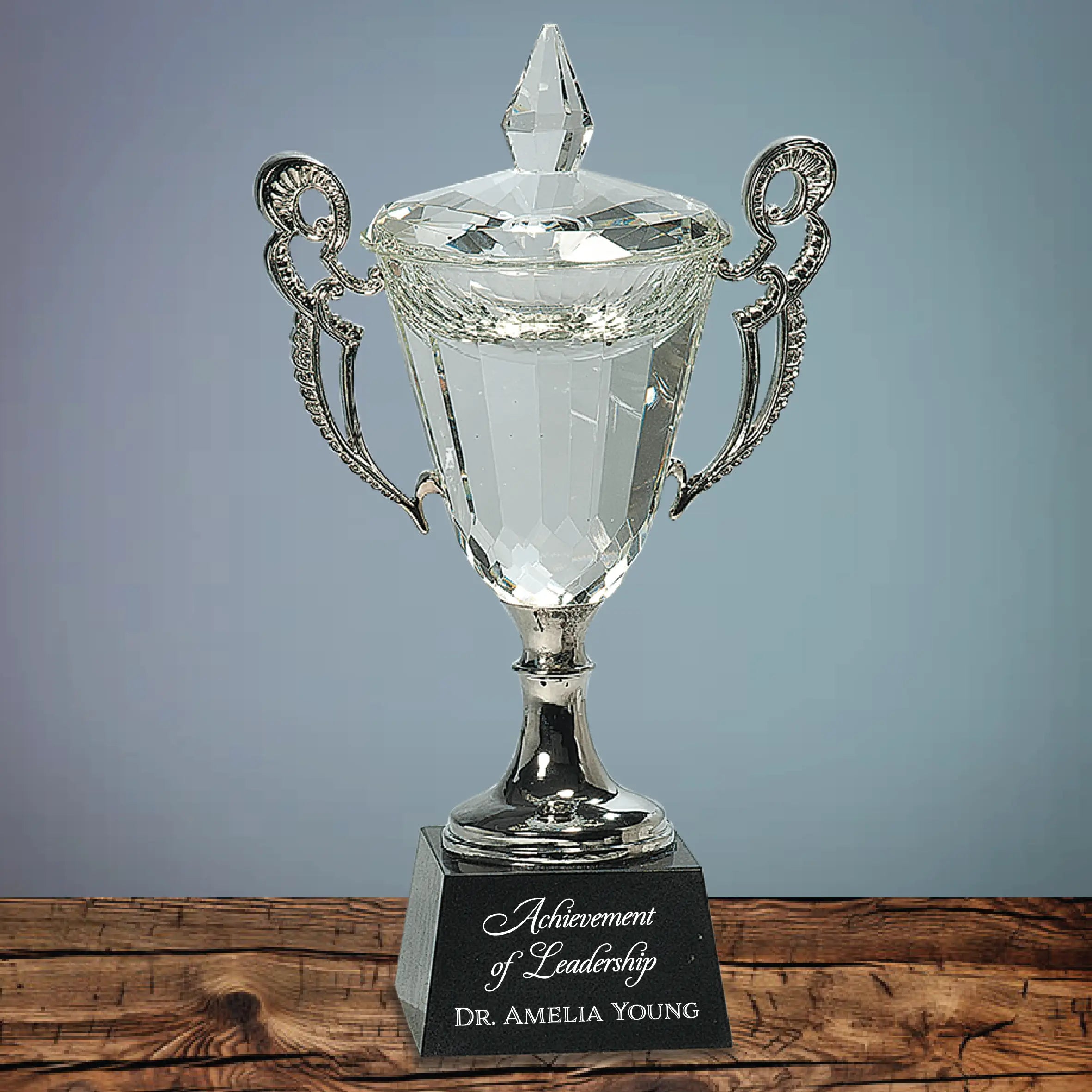 Premier Crystal Cup Award with Silver Handles and Stem, Includes Lined Gift Box, 11.75" JDS