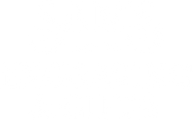 Fancy Logo - white with transparent background