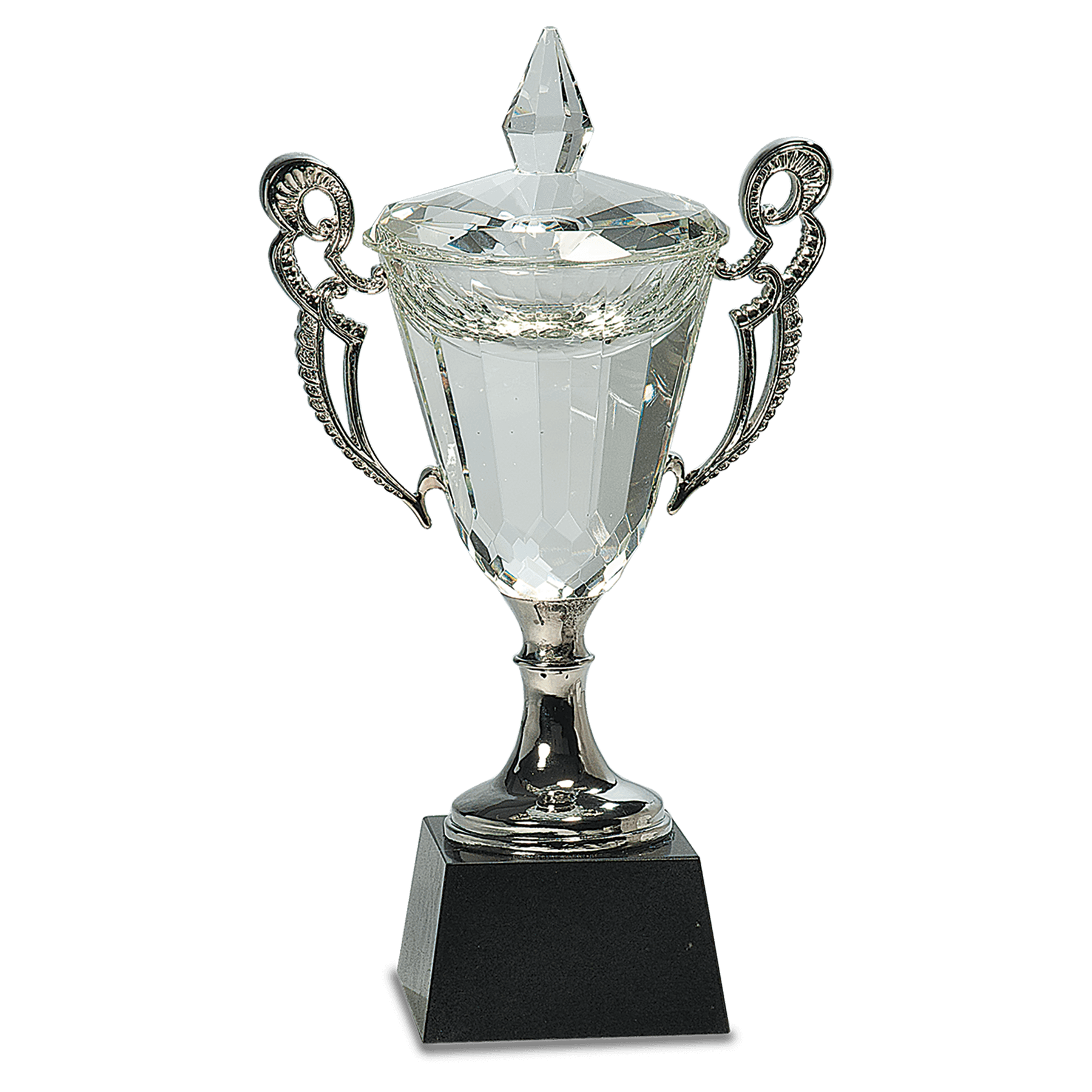 Premier Crystal Cup Award with Silver Handles and Stem, Includes Lined Gift Box, 11.75"